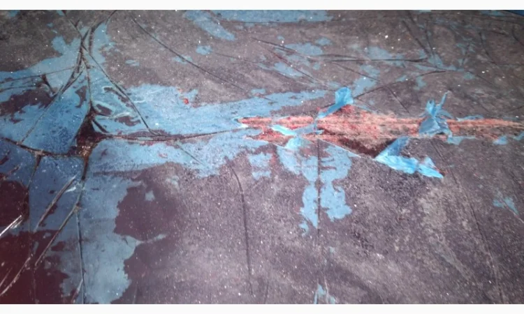 Продам свинну кров за запитом - фото № 2