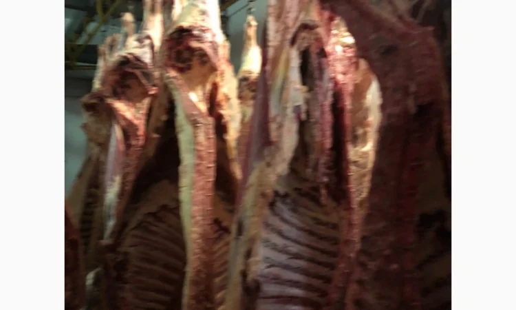 Продаж замороженої свинини та яловичини від виробника - фото № 6