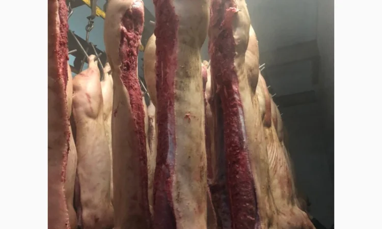 Продаж замороженої свинини та яловичини від виробника - фото № 7