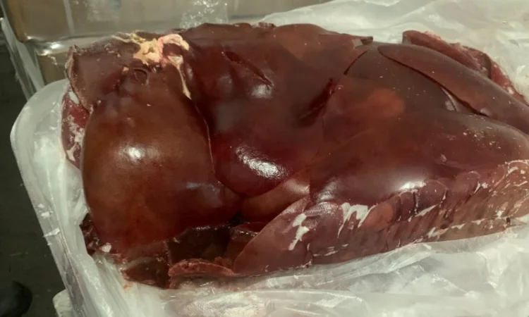 Свиная печень - фото № 1