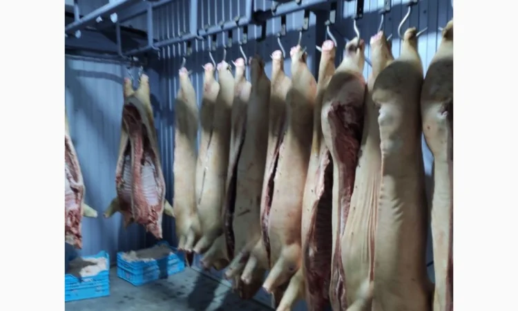 Продается убойный цех с современным оборудованием - фото № 1