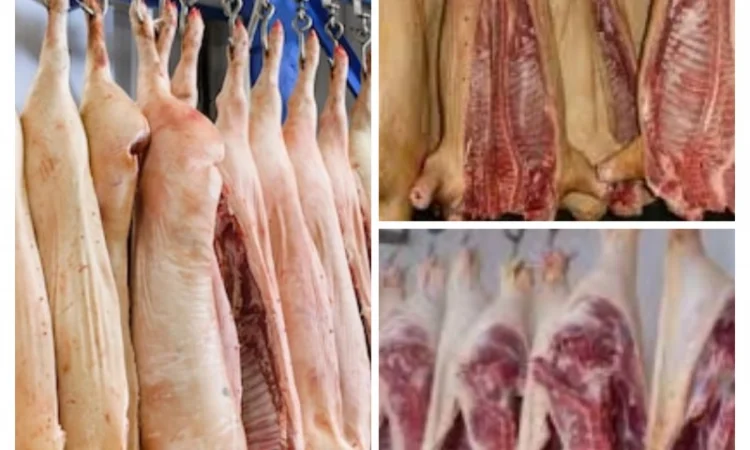 Туші свинини оптом і в роздріб в Одесі - фото № 1