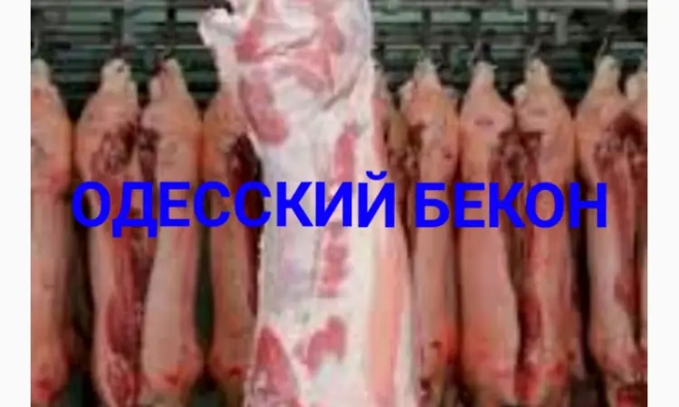 Свежее мясо - фото № 1