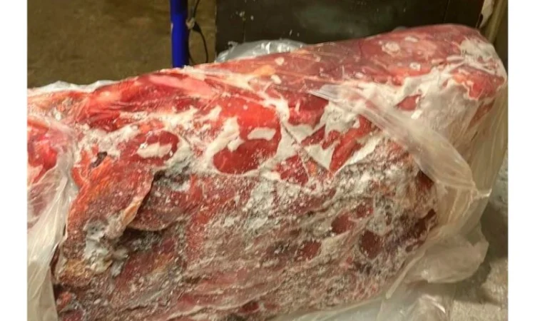 Заморожена свиняча м'ясообрезь оптом від виробника - фото № 1