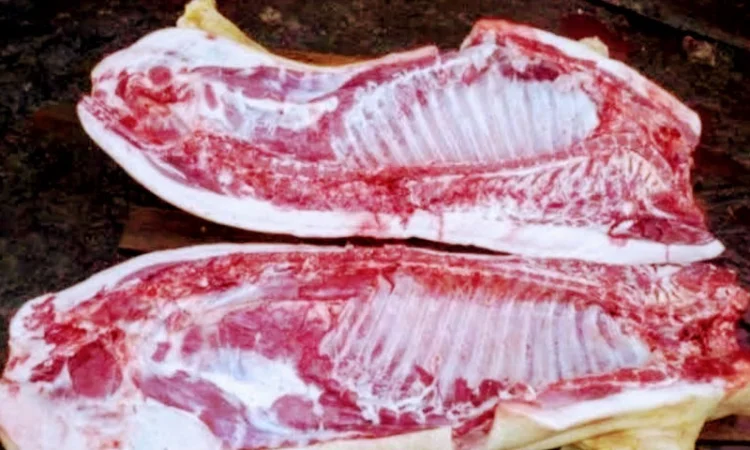 Напівтуші свинячі - фото № 1