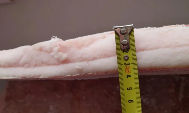 Сало Іберика заморожене - фото № 1