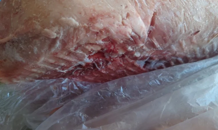 Котлетне м'ясо свиняче 90/10 - фото № 7