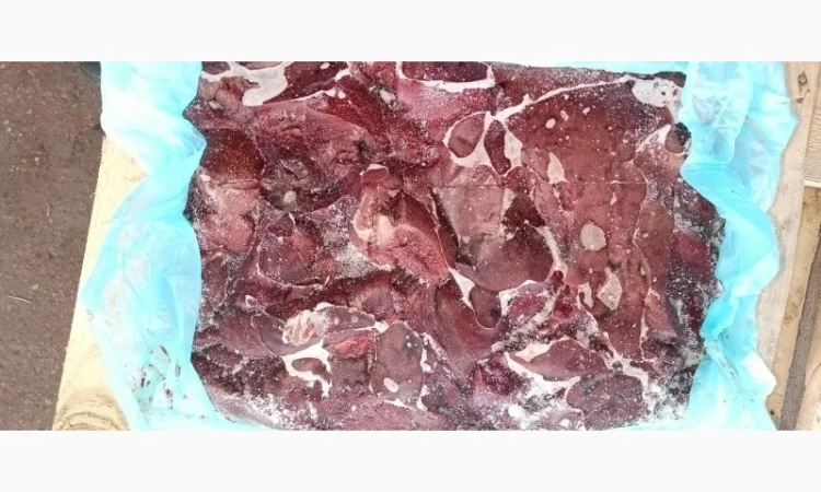 Продам свиную печень - фото № 1