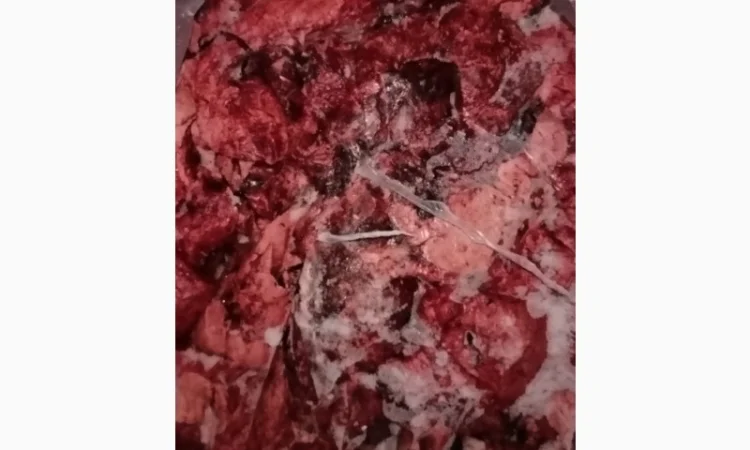 Продам свиное лёгкое - фото № 1