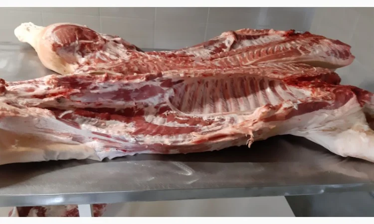 Куплю напівтуші свинні - фото № 1