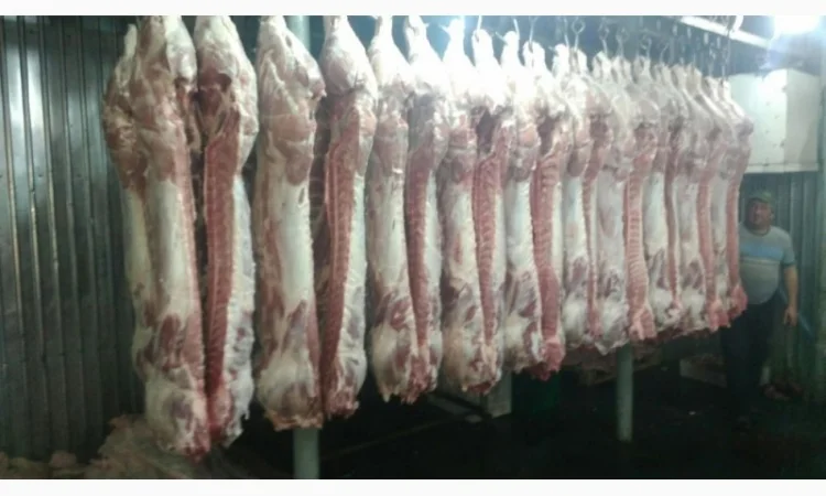 Мясо Свіже Охолоджене в півтушках - фото № 1