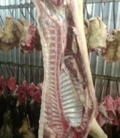 Мясо Свіже Охолоджене в півтушках - фото № 2