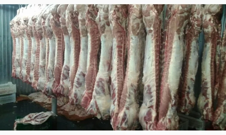 Мясо Свіже Охолоджене в півтушках - фото № 4