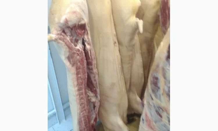 Мясо Свіже Охолоджене в півтушках - фото № 5