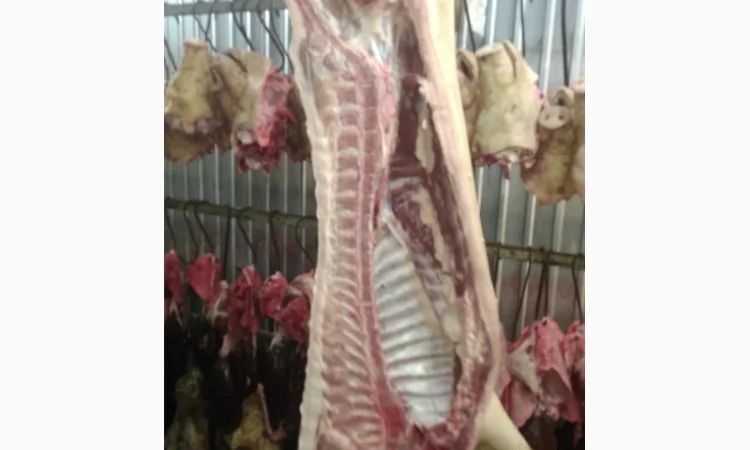 Мясо Свіже Охолоджене в півтушках - фото № 6