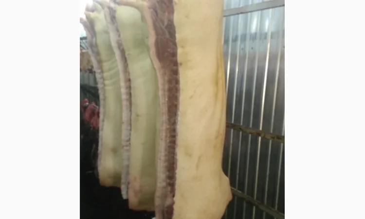 Мясо Свіже Охолоджене в півтушках - фото № 7