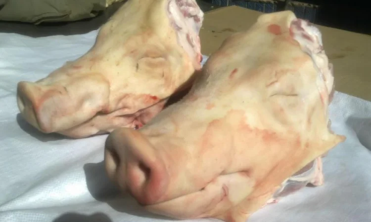 Продаются свиные головы - фото № 1