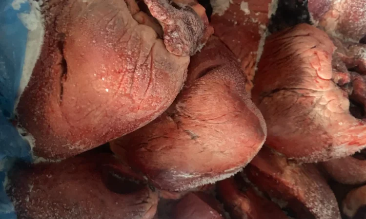 Продается сердце свиньи - фото № 1