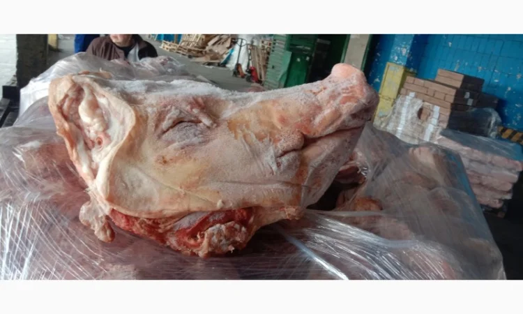 Продается головы свиней с полным пакетом документов - фото № 1