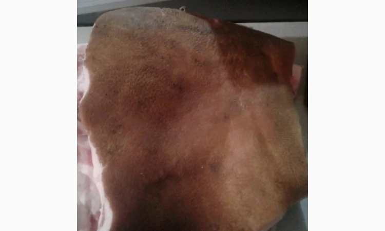 Продам домашнее сало на шкуре - фото № 1