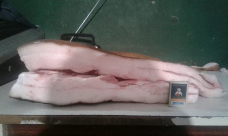 Продам домашнее сало на шкуре - фото № 2