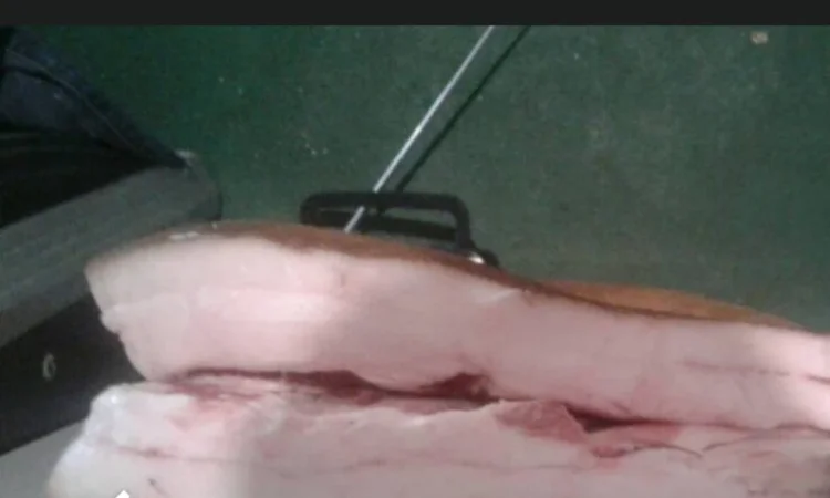 Продается домашнее сало на шкуре - фото № 3