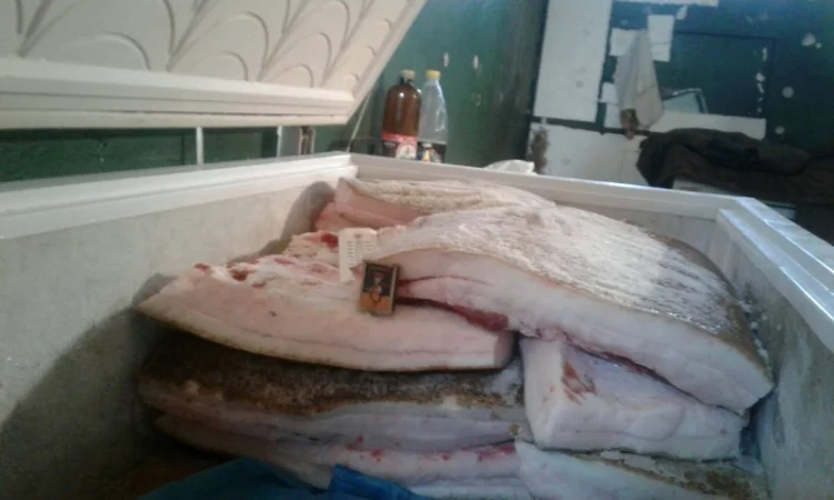 Продам домашнє грубе сало - фото № 3