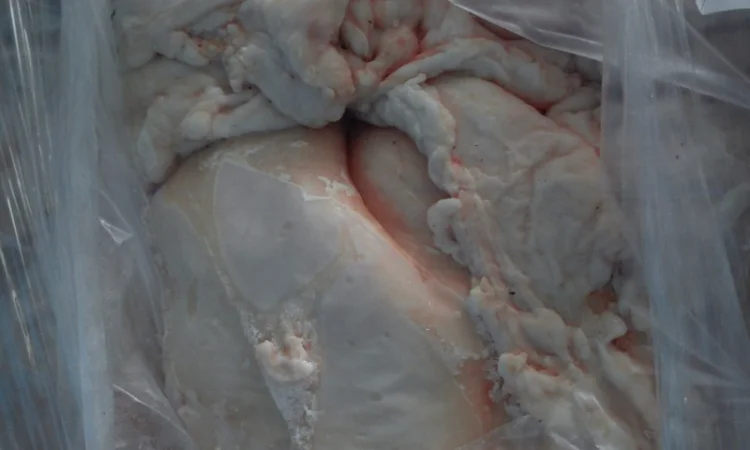 Продается свиной жир сырец со склада в Киеве - фото № 1