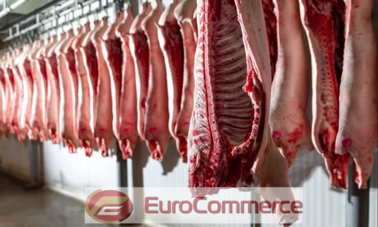 Продам свинину півтушами, елементи та субпродукти великим оптом - фото № 1