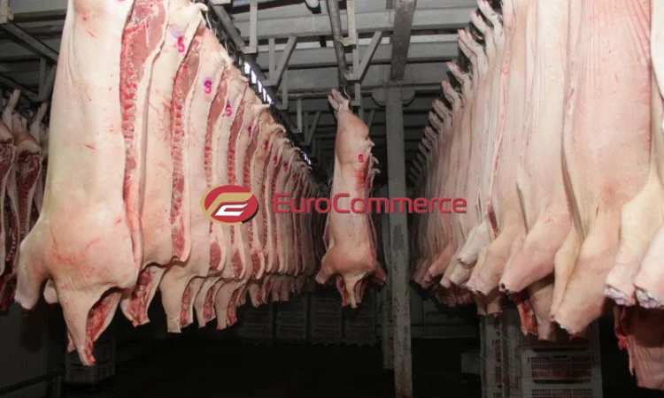 Напівтуші свинні / Полутуші свиняче м’ясо – продаж гуртом та в роздріб - фото № 1