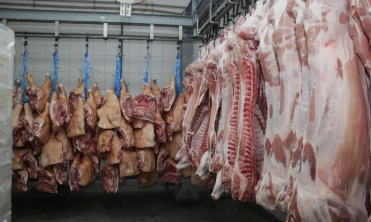 М'ясо свинне оптом від виробника: напівтуші, елементи та субпродукти - фото № 2