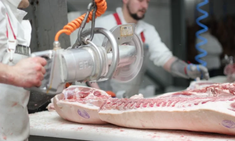 М'ясо свинне оптом від виробника: напівтуші, елементи та субпродукти - фото № 3