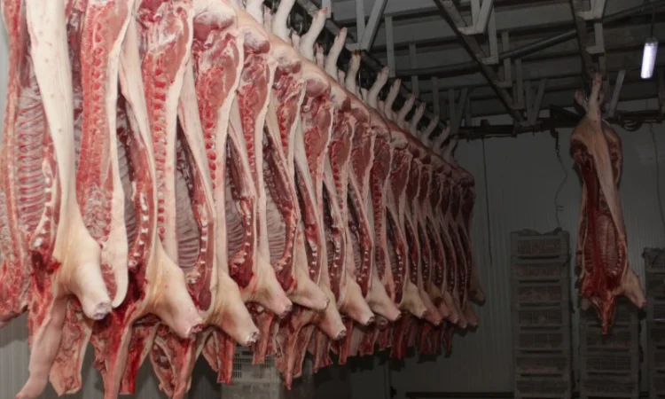 Свинина оптом від виробника – напівтуші, елементи та субпродукти - фото № 2