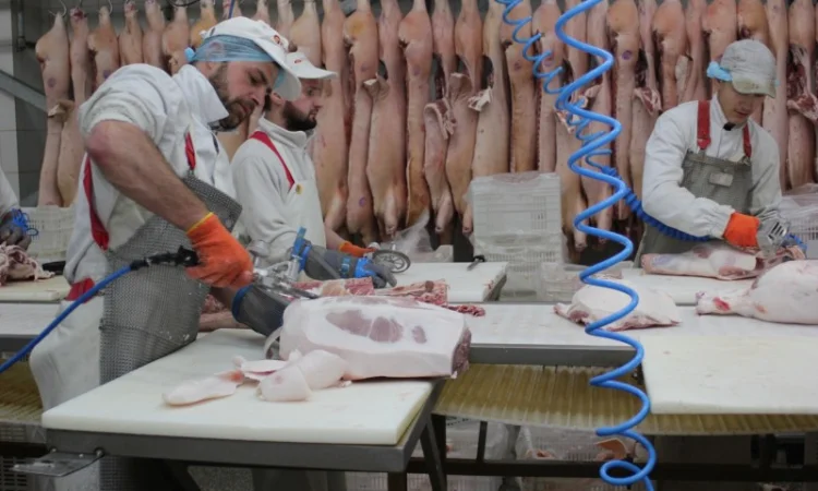 Свинина оптом від виробника – напівтуші, елементи та субпродукти - фото № 4