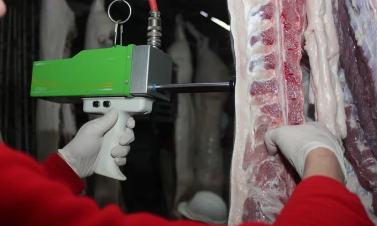 Свинина оптом від виробника – напівтуші, елементи та субпродукти - фото № 6