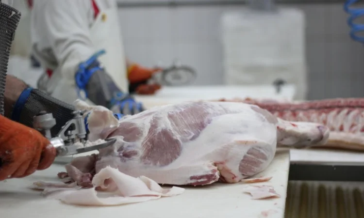 Свинина оптом від виробника – напівтуші, елементи та субпродукти - фото № 8