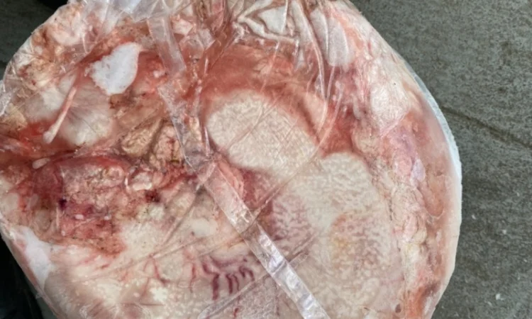 Свиной желудок оптом – продажа постоянно - фото № 1