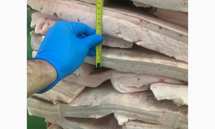 Оптовий продаж сала іберійської свині на шкурі - фото № 1