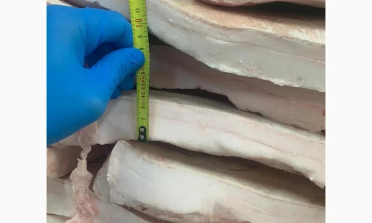 Оптовий продаж сала іберійської свині на шкурі - фото № 2