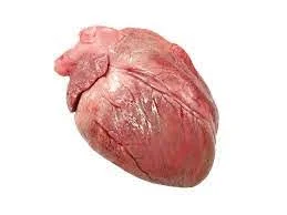 Свинные потроха цена - фото № 3