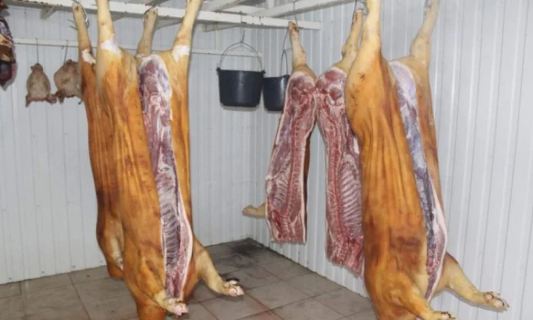 Свинина свежий забой Одесса - фото № 1