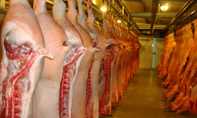 Свинина оптом Одесса - фото № 1