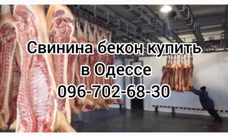 Свинина свежий забой цена - фото № 1