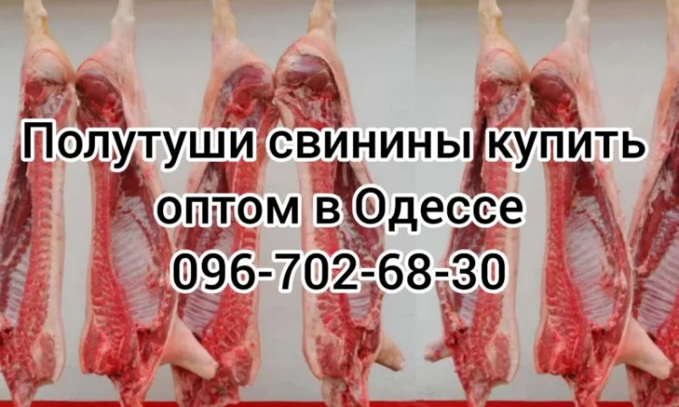 Полутуши свинины цена - фото № 1