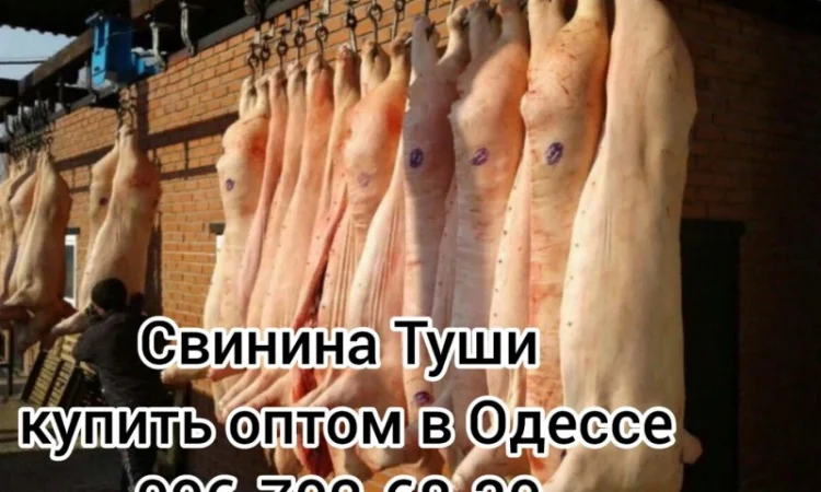 Туши свинины цена - фото № 1