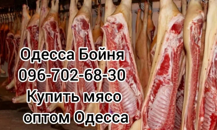 Туши свинины цена - фото № 2