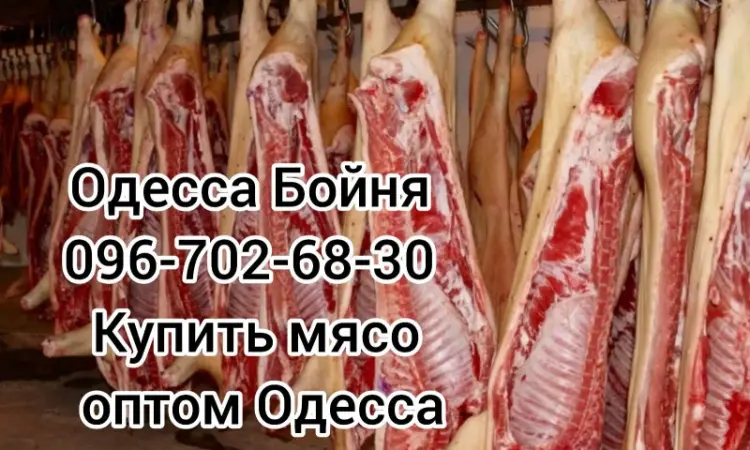 Туши свинины цена - фото № 2
