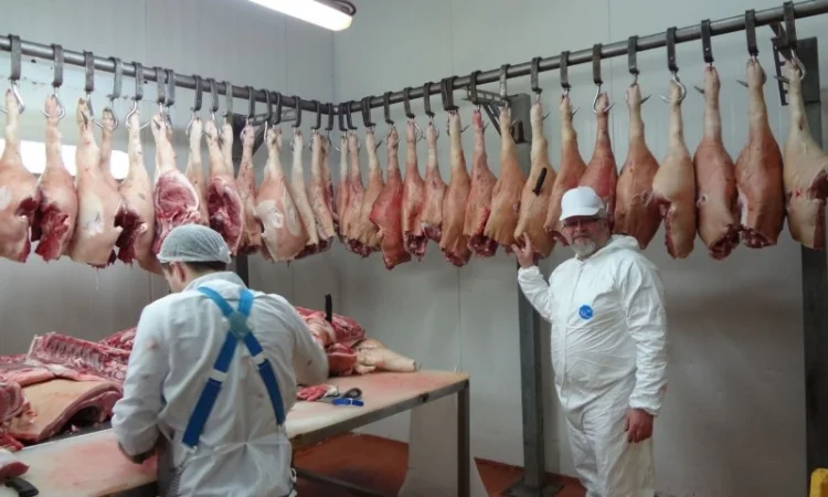 Свинина оптом цена - фото № 1