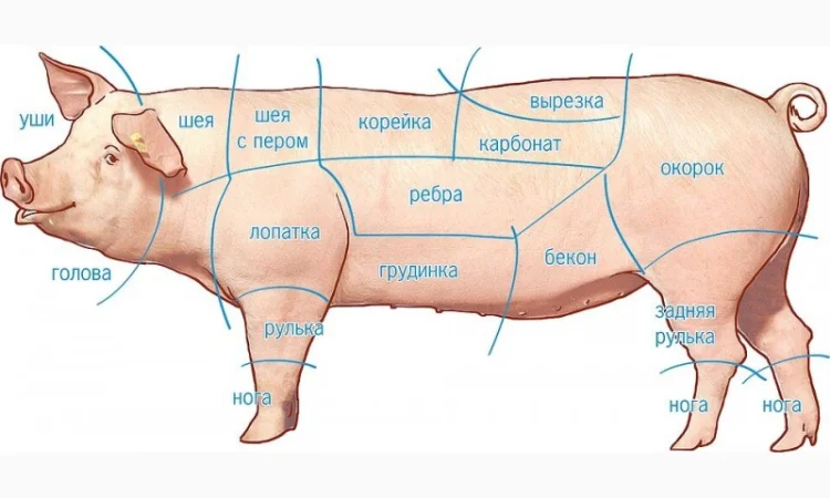 Продажа свиной разделки (замороженной): задок, корейка, лопатка, вырезка, ошеек, окорок, 80/20 - фото № 1