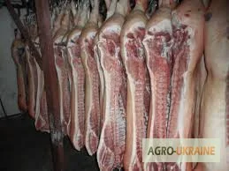 Продам свинячі півтуші - фото № 1